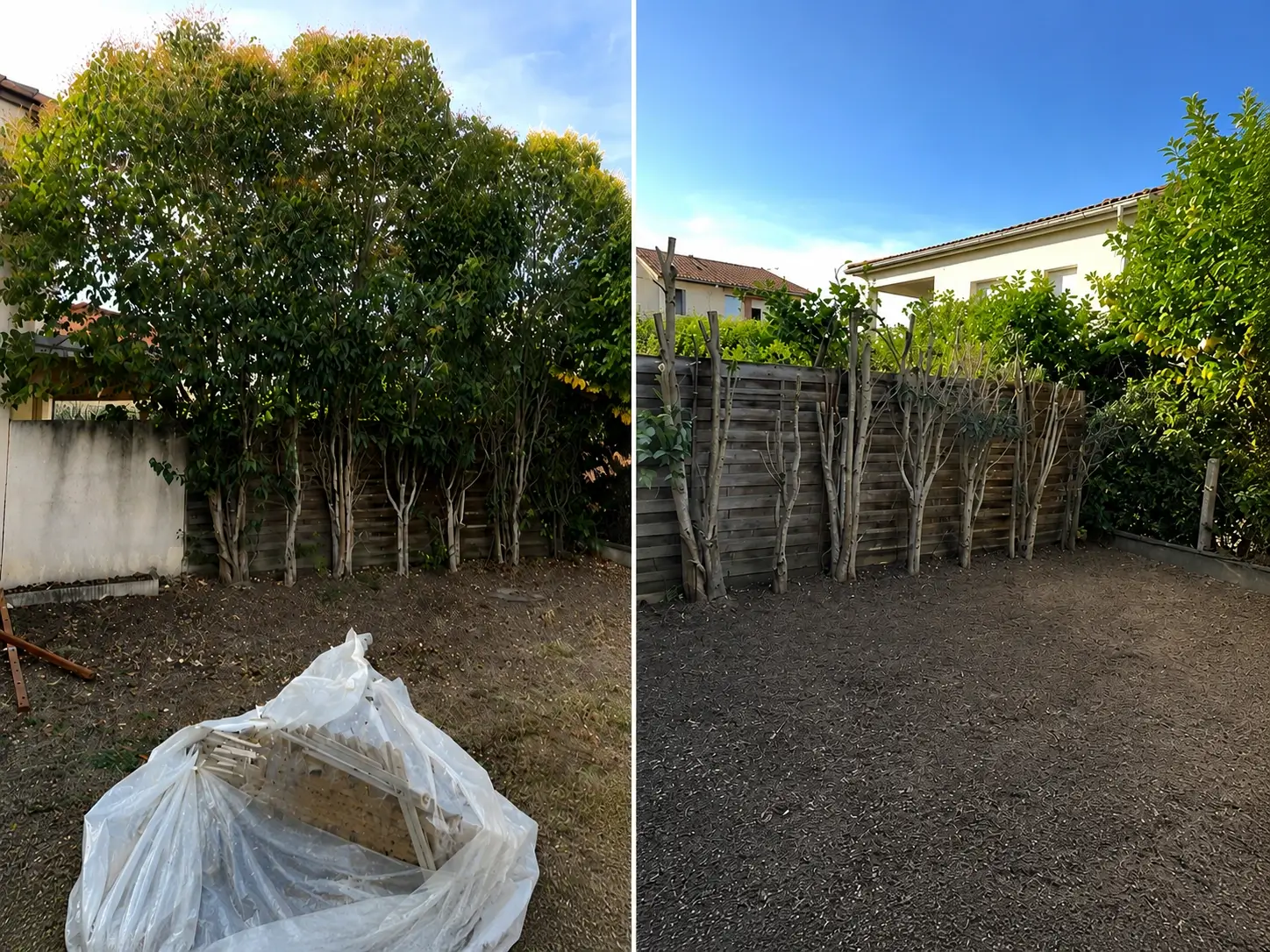 Élagage d'arbre terminé, jardin nettoyé : ABM-RENOV Tournefeuille