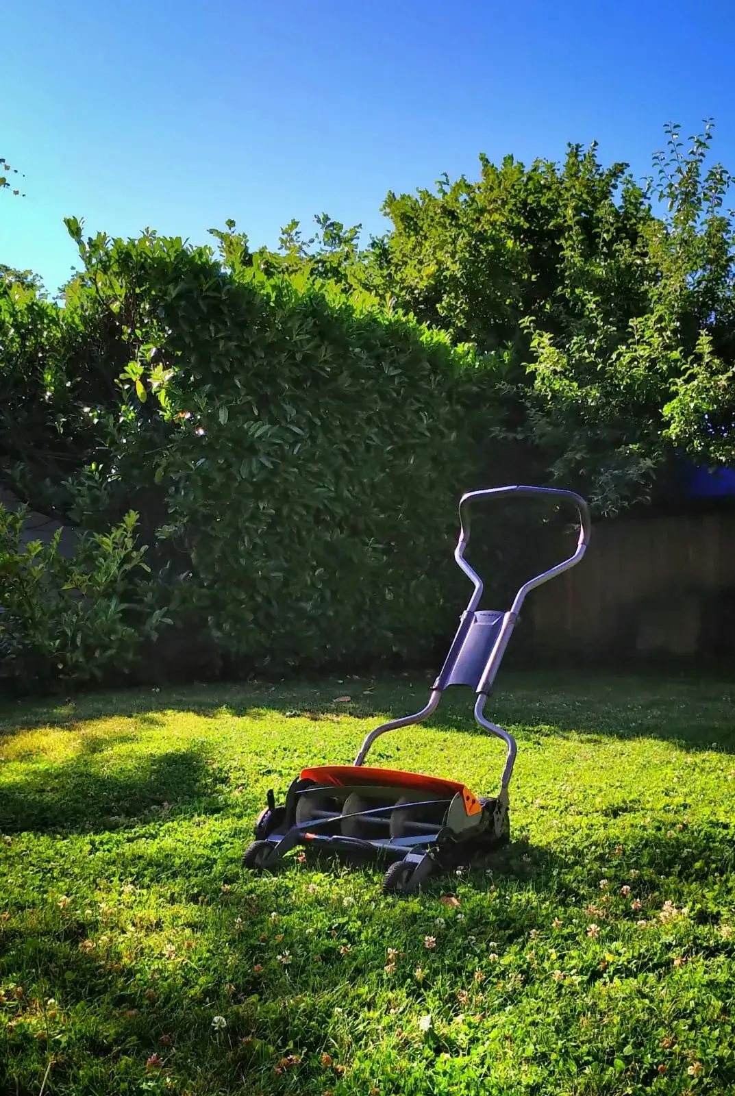 Entretien de jardin : tonte et finitions à Tournefeuille