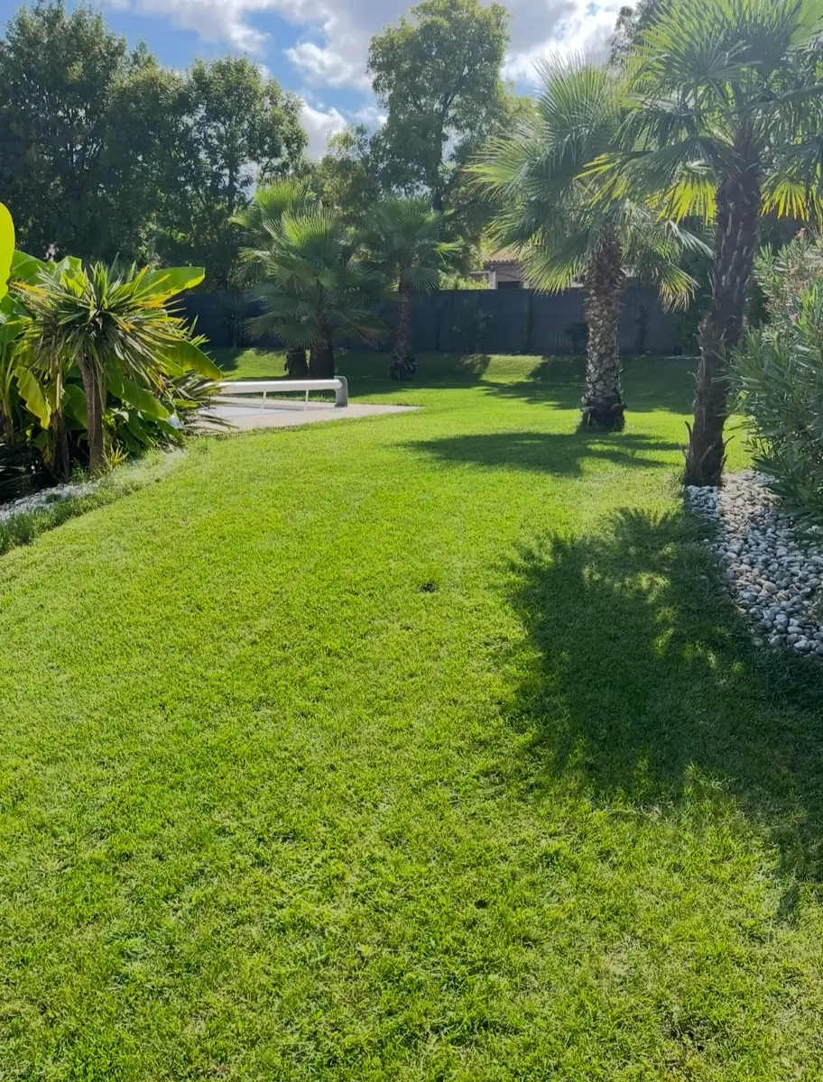 Entretien de jardin : tonte et finitions à Tournefeuille